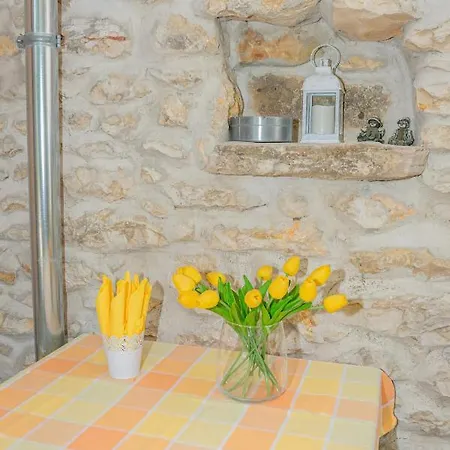 Apartment Eleonora Zadar